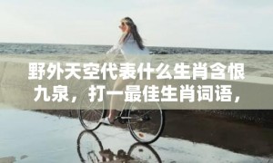 野外天空代表什么生肖含恨九泉，打一最佳生肖词语，解释落实词语释义