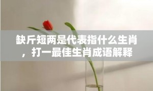 缺斤短两是代表指什么生肖，打一最佳生肖成语解释