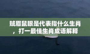 贼眉鼠眼是代表指什么生肖，打一最佳生肖成语解释