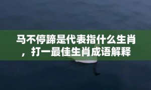 马不停蹄是代表指什么生肖，打一最佳生肖成语解释