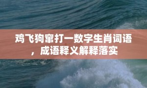 鸡飞狗窜打一数字生肖词语，成语释义解释落实