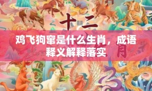 鸡飞狗窜是什么生肖，成语释义解释落实