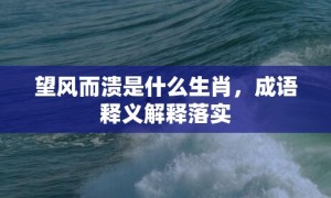 望风而溃是什么生肖，成语释义解释落实