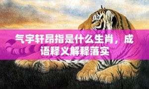 气宇轩昂指是什么生肖，成语释义解释落实