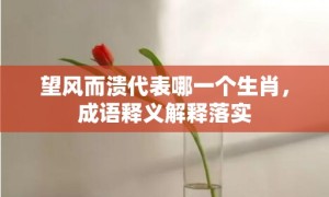 望风而溃代表哪一个生肖，成语释义解释落实