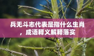 兵无斗志代表是指什么生肖，成语释义解释落实