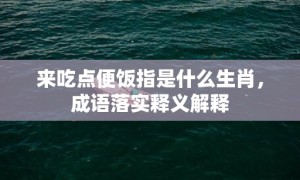 来吃点便饭指是什么生肖，成语落实释义解释