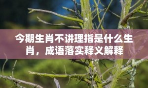 今期生肖不讲理指是什么生肖，成语落实释义解释