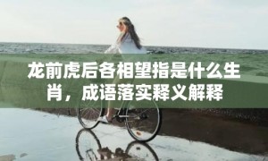 龙前虎后各相望指是什么生肖，成语落实释义解释