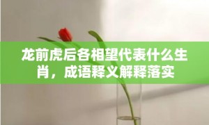 龙前虎后各相望代表什么生肖，成语释义解释落实