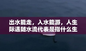 出水能走，入水能游，人生际遇随水流代表是指什么生肖，成语释义解释落实