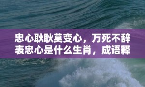 忠心耿耿莫变心，万死不辞表忠心是什么生肖，成语释义解释落实