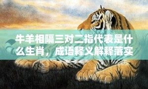 牛羊相隔三对二指代表是什么生肖，成语释义解释落实