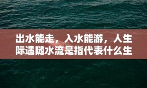 出水能走，入水能游，人生际遇随水流是指代表什么生肖，词语解释落实