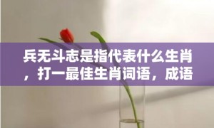 兵无斗志是指代表什么生肖，打一最佳生肖词语，成语释义解释落实