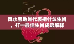 风水宝地是代表指什么生肖，打一最佳生肖成语解释