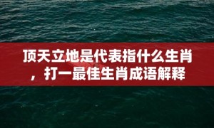 顶天立地是代表指什么生肖，打一最佳生肖成语解释