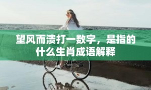 望风而溃打一数字，是指的什么生肖成语解释