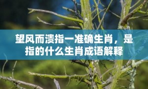 望风而溃指一准确生肖，是指的什么生肖成语解释
