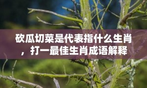 砍瓜切菜是代表指什么生肖，打一最佳生肖成语解释