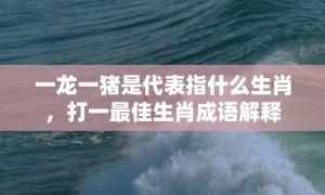 一龙一猪是代表指什么生肖，打一最佳生肖成语解释