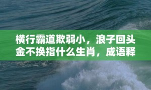 横行霸道欺弱小，浪子回头金不换指什么生肖，成语释义解释落实