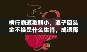 横行霸道欺弱小，浪子回头金不换是什么生肖，成语释义解释落实