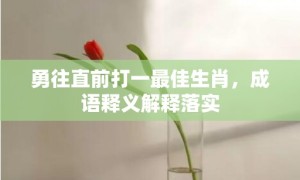 勇往直前打一最佳生肖，成语释义解释落实