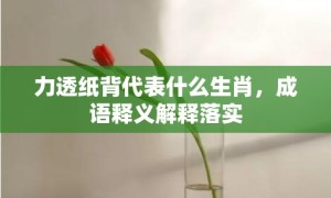 力透纸背代表什么生肖，成语释义解释落实