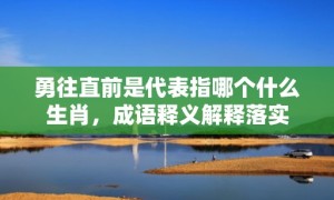 勇往直前是代表指哪个什么生肖，成语释义解释落实