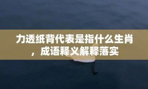 力透纸背代表是指什么生肖，成语释义解释落实