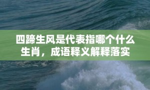 四蹄生风是代表指哪个什么生肖，成语释义解释落实