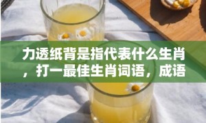 力透纸背是指代表什么生肖，打一最佳生肖词语，成语释义解释落实