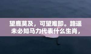 望鹿莫及，可望难即。路遥未必知马力代表什么生肖，成语释义解释落实