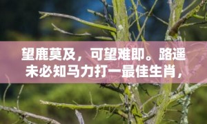 望鹿莫及，可望难即。路遥未必知马力打一最佳生肖，成语释义解释落实