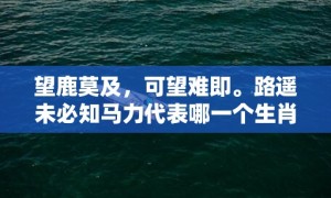 望鹿莫及，可望难即。路遥未必知马力代表哪一个生肖，成语释义解释落实