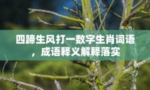 四蹄生风打一数字生肖词语，成语释义解释落实