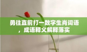 勇往直前打一数字生肖词语，成语释义解释落实