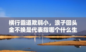 横行霸道欺弱小，浪子回头金不换是代表指哪个什么生肖，成语释义解释落实