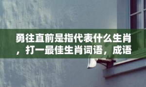 勇往直前是指代表什么生肖，打一最佳生肖词语，成语释义解释落实