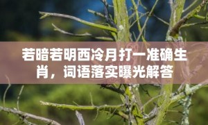 若暗若明西冷月打一准确生肖，词语落实曝光解答