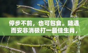 停步不前，也可包食。随遇而安非消极打一最佳生肖，成语释义解释落实