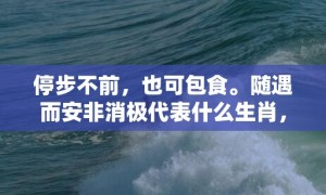 停步不前，也可包食。随遇而安非消极代表什么生肖，成语释义解释落实