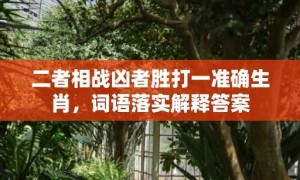 二者相战凶者胜打一准确生肖，词语落实解释答案