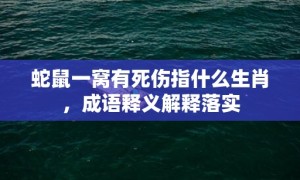 蛇鼠一窝有死伤指什么生肖，成语释义解释落实