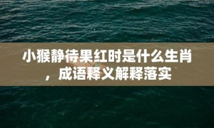 小猴静待果红时是什么生肖，成语释义解释落实