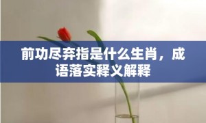 前功尽弃指是什么生肖，成语落实释义解释