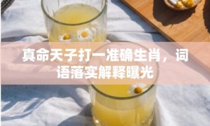 真命天子打一准确生肖，词语落实解释曝光