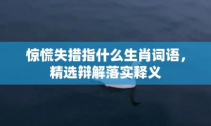 惊慌失措指什么生肖词语，精选辩解落实释义