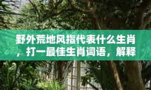 野外荒地风指代表什么生肖，打一最佳生肖词语，解释落实词语释义